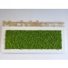 Mechový obraz z masivu 136x56cm široký bílý dřevěný rám – Sobí mech (Spring Green)