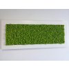 Mechový obraz z masivu 136x56cm široký bílý dřevěný rám – Sobí mech (Spring Green)