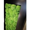 Mechový obraz z masivu 136x56cm černý široký dřevěný rám – Kopečkový mech