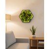 Mechový antracitový hexagon 60cm s LED osvětlením - mix mechů