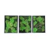 Set 3 obrazů 40x30cm - černý dřevěný rám, mix mechů multigreen