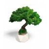 Mechová bonsaj 27cm