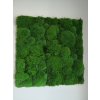 Nástěnný panel 50x50cm Kopečkový mech (tmavě zelený)