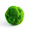 Mechová koule Kopečkový mech světlý