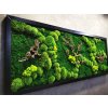 Mechový obraz 80 x 200cm kombinace mechů v černém dřevěném rámu s dřevinou