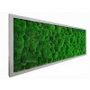 Mechový obraz Kopečkový mech světle zelený – 136x56cm šedý tenký dřevěný rám