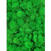 Polarmoss Finský Sobí Mech - Apple Medium Green