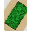 Polarmoss Finský Sobí Mech - Apple Medium Green