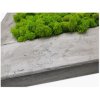 Obraz 56x56cm Finský Sobí Mech v rámu Beton Marmo