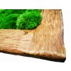 Mechový obraz z masivu 136x56cm Dubový rám kartáčovaný– mix mechů