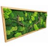 Mechový obraz mix různých mechů - 136x56cm  tenký dubový rám s dřevinami