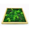 Mechový obraz 56x56 cm dubový tenký rám s mixem mechů a dřevinami