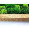 Mechový obraz 56x56 cm dubový tenký rám s mixem mechů a dřevinami