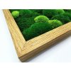 Mechový obraz 56x56 cm dubový tenký rám s mixem mechů a dřevinami