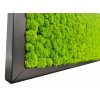Mechový obraz Finský Sobí mech světle zelený - 136x56cm tenký černý dřevěný rám