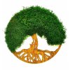 Mechový obraz-Strom moudrosti 40cm