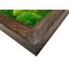 Mechový obraz 80 x 200cm kombinace mechů - tmavý dubový rám
