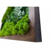 Mechový obraz 56x56 cm tmavý dubový tenký rám - mix + rostliny