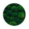 Kopečkový mech - volně v kartonu - tmavě zelený ball moss