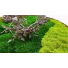 Mechový obraz kulatý dřevěný mix mechů s bonsai Ø 55 cm