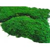 Plochý mech - volně v kartonu (cca 1.1m2) - světle zelený flat moss
