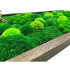 Mechový obraz 120 x 50cm mix mechů v tenkém tmavém dubovém rámu