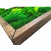 Mechový obraz 120 x 50cm mix mechů v tenkém tmavém dubovém rámu