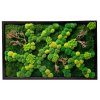Mechový obraz 150x90cm Mix mechů s dřevinami v dřevěném černém tenkém rámu