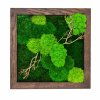 Mechový obraz mix mechů s dřevinami 30x30cm - tmavý tenký dubový rám