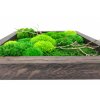 Mechový obraz mix mechů s dřevinami 30x30cm - tmavý tenký dubový rám