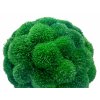 Mechová koule Kopečkový mech tmavý