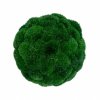 Mechová koule Kopečkový mech tmavý