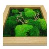 Mechový obraz mix mechů s dřevinami 30x30cm -  dubový rám