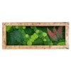 Obraz Dekorační rám Sahara – 136x56cm - mix mechů se stabilizovanými rostlinami