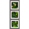 Set 3 obrazů 30x30cm - bílý hrubý dřevěný rám