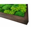 Mechový obraz Mix mechů – 136x56cm tmavý dubový dřevěný tenký rám