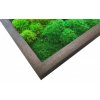 Mechový obraz Mix mechů – 136x56cm tmavý dubový dřevěný tenký rám