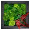 Mechový obraz 30x30 cm - mix mechů s rostlinami- černý dřevěný rám