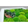 Mechový obraz 30x30 cm - mix mechů s rostlinami- bílý dřevěný rám