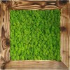 Mechový obraz 56x56cm Finský Sobí mech POLARMOSS (premium) v dřevěném zestařeném rámu