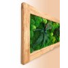 Mechový obraz z masivu 136x56cm (rám kartáčované dřevo, technika drátkování) – Mix mechů, rostlin a dřevin