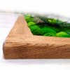 Mechový obraz z masivu 136x56cm (rám kartáčované dřevo, technika drátkování) – Mix mechů, rostlin a dřevin