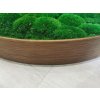 Mechový obraz kulatý dřevěný mix mechů Ø 55 cm