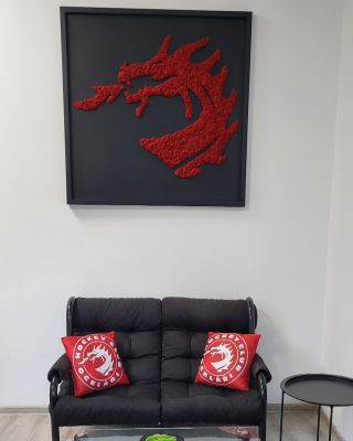 3D Ocelářský drak z Finského červeného mechu v černém rámu pro dalšího hokejového nadšence. Děkujeme za důvěru 🤩.