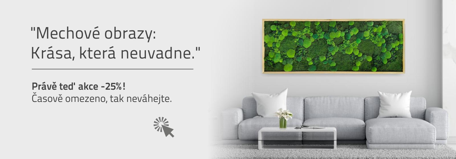 akce 25% obrazy P