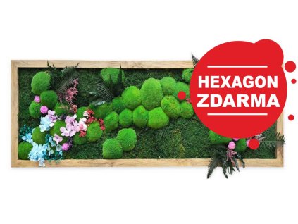 mechlevne RAINBOW obraz květinový stabilizovany hex