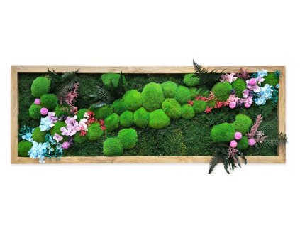 mechlevne RAINBOW obraz květinový stabilizovany