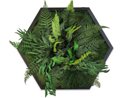 mechlevne jungle hexahon02