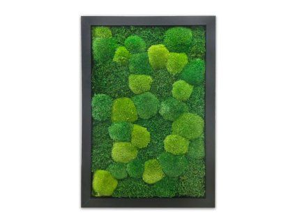 mechlevne obraz 40x60 01