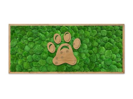 mechlevne mechovy obraz kopečkový dlouhý tlapka